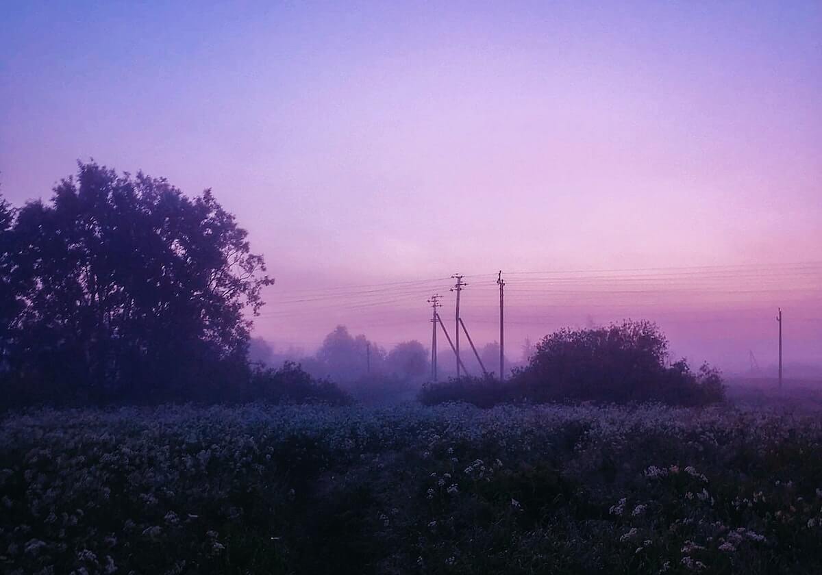 随着高芙0-2爆冷丢冠！诞生3个赢家+4个输家，郑钦文、保利尼在列