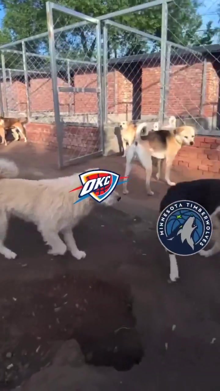 🔥火到国外了！俄城警察局P图庆祝雷霆西部冠军：狗王来也~